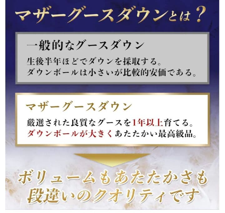 ホワイトマザーグースダウン95% セミダブルサイズ　羽毛掛け布団【美品】