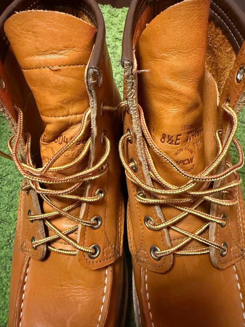 廃盤レッドウィング9875ゴールドラセットアイリッシュセッター セコイア犬タグ