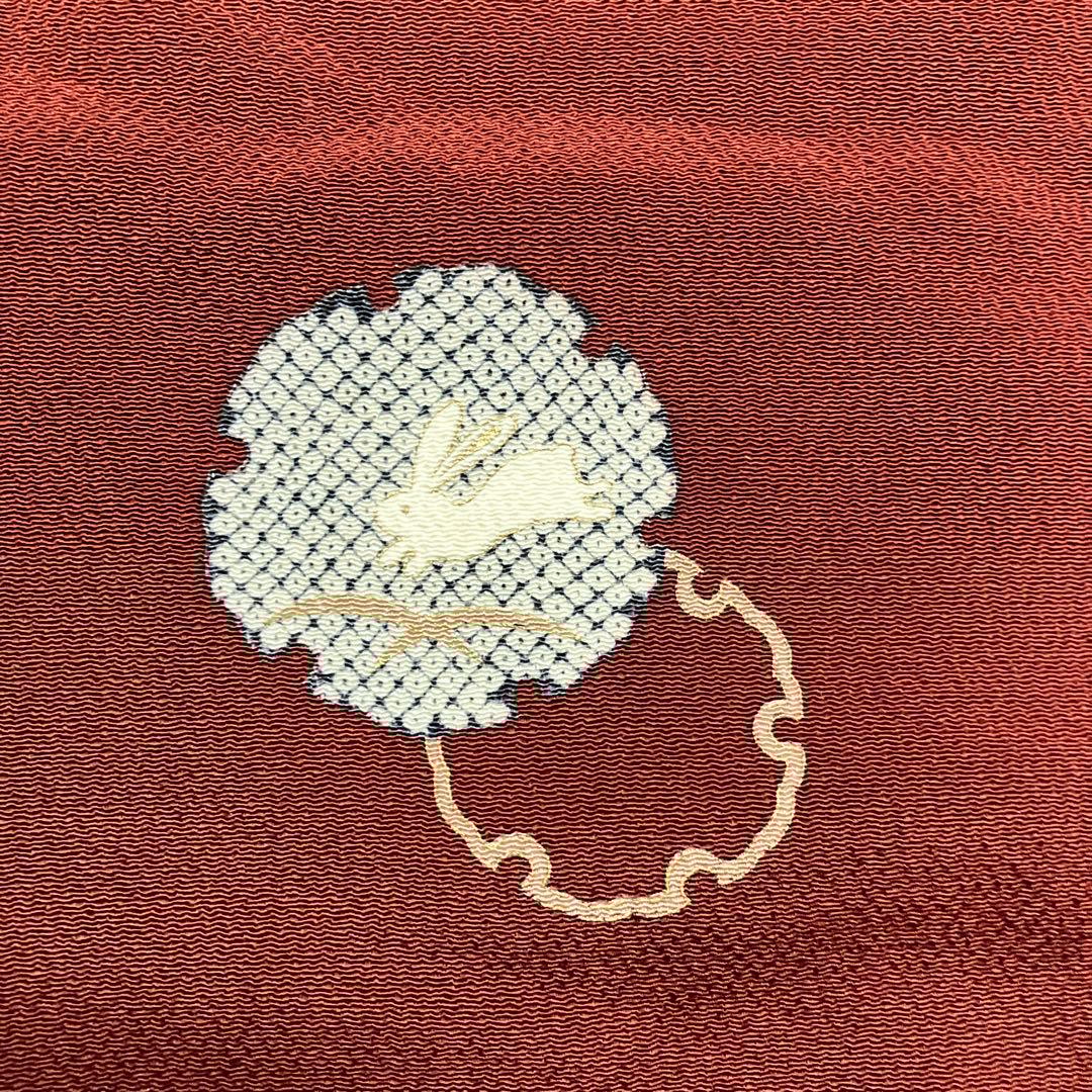 美品３点セット うさぎ小紋&相良刺繍名古屋帯&新品帯締め トールサイズ