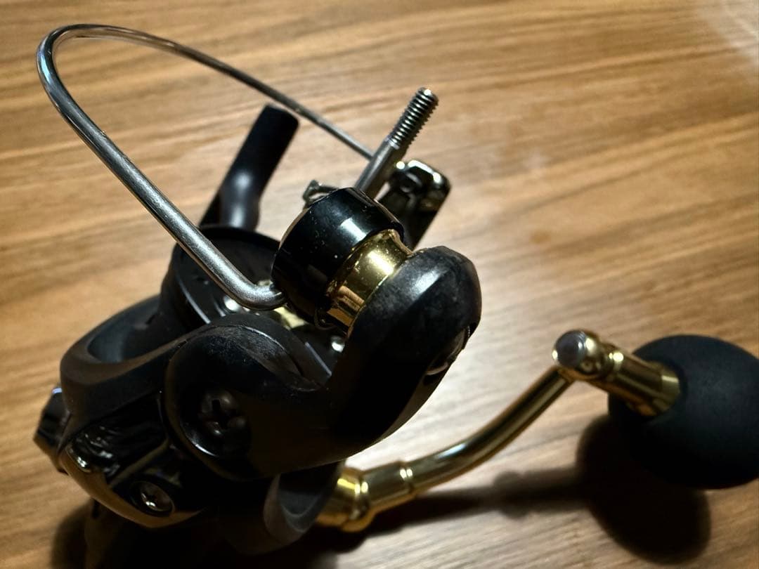 ダイワ 23BG SW 10000-H