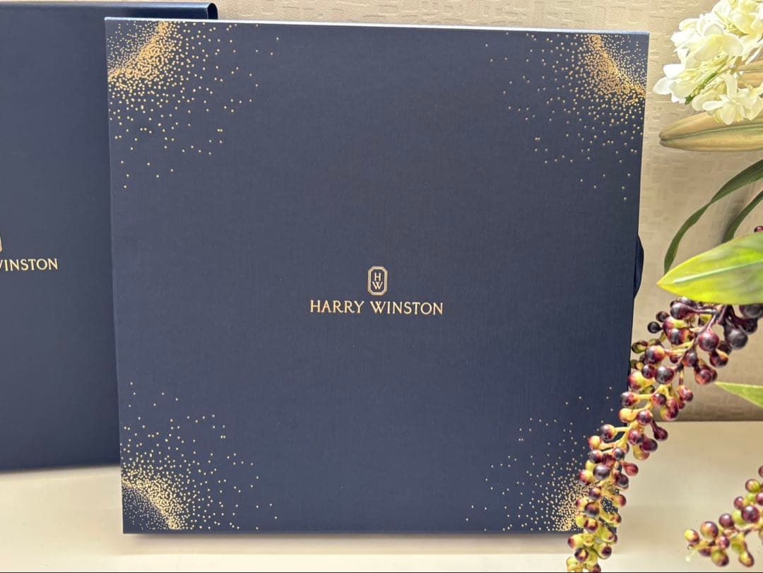 HARRY WINSTON 陶磁器皿 ホワイト ゴールド 非売品 大皿