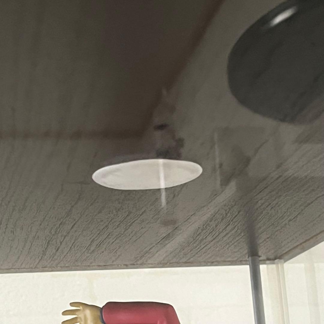 値下げ　新品　未開封　IKEA イケア ガラス製コレクションケークリア