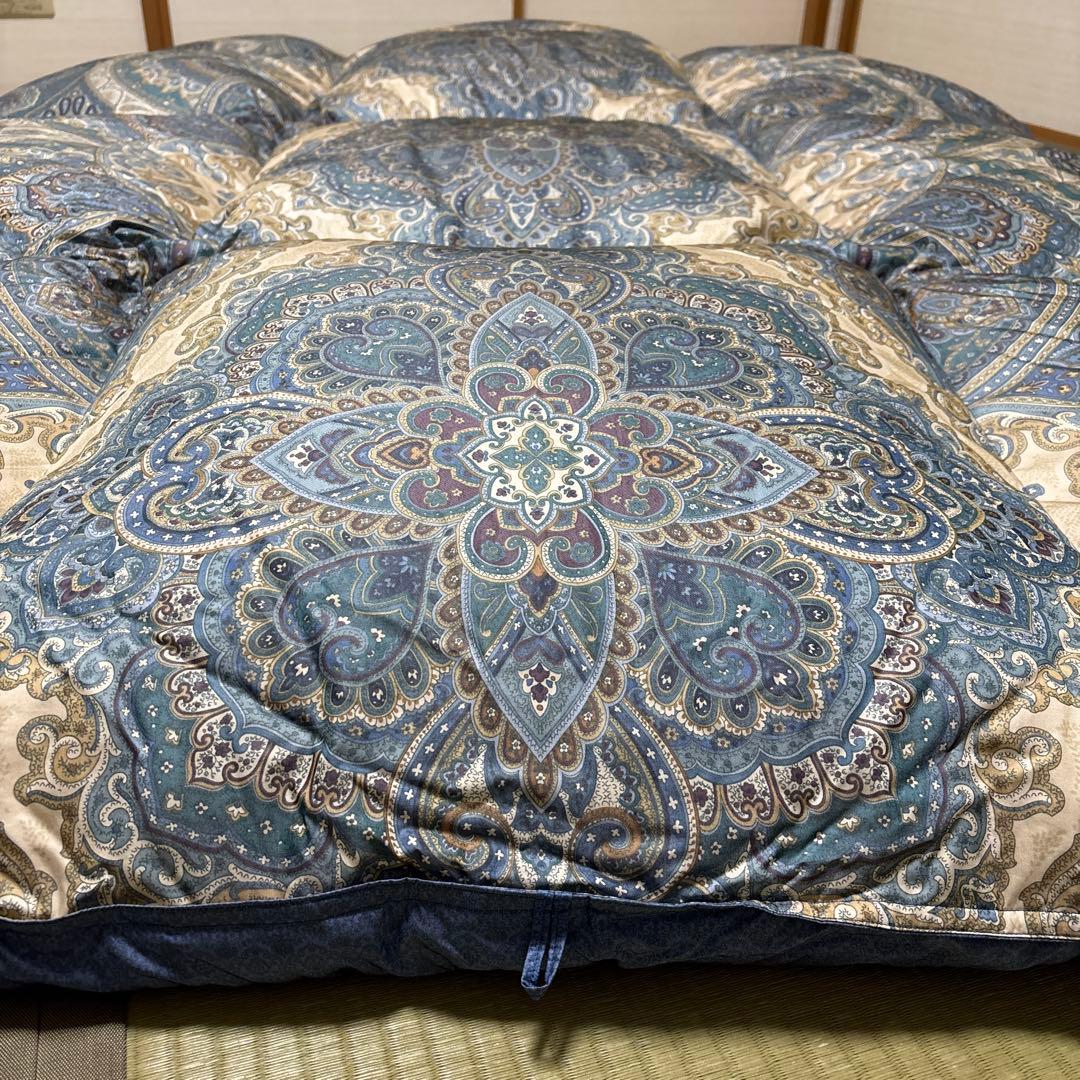 ☆超美品☆西川羽毛掛け布団