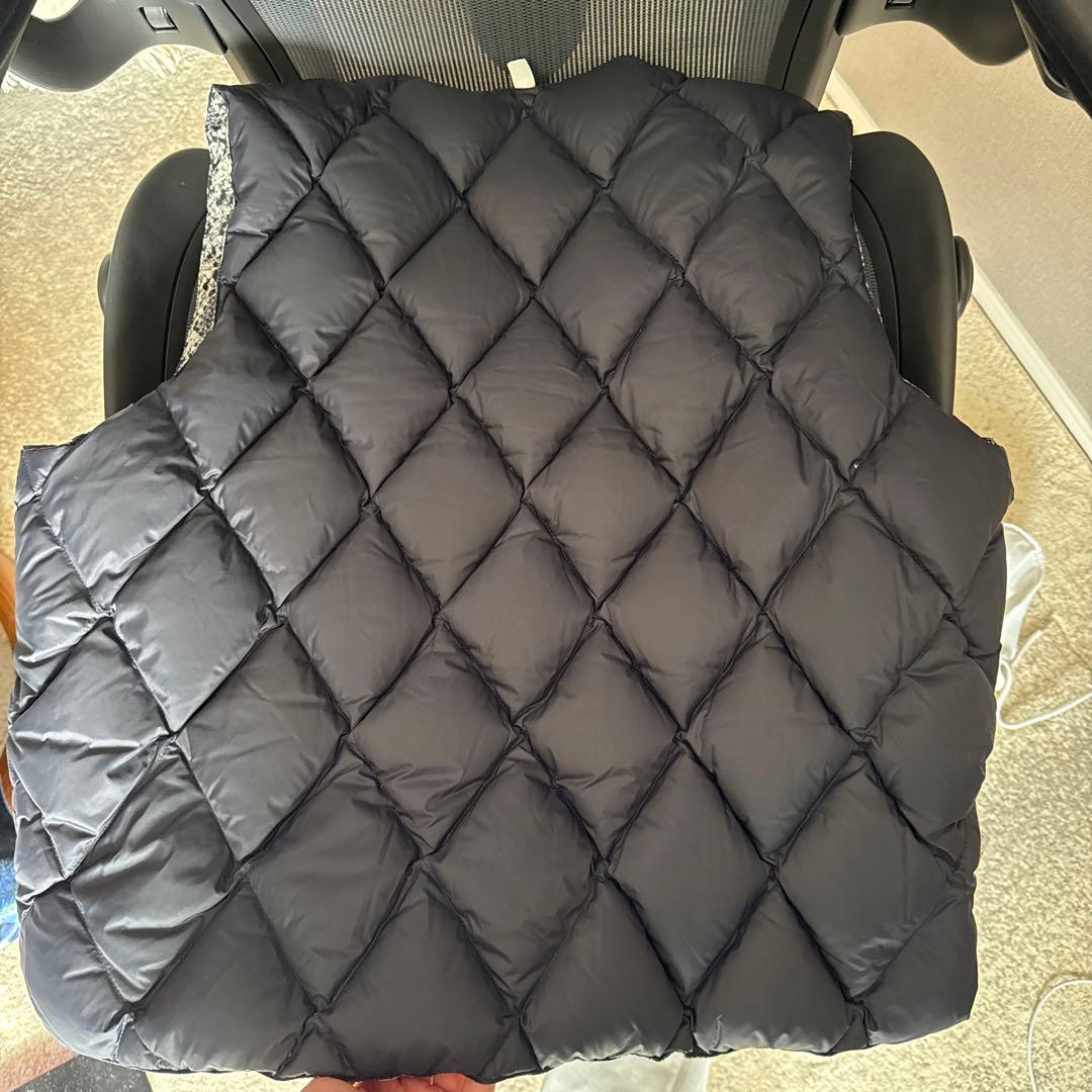 きのSTUSSY WORKGEAR リバーシブル ダウンベスト パイソン柄