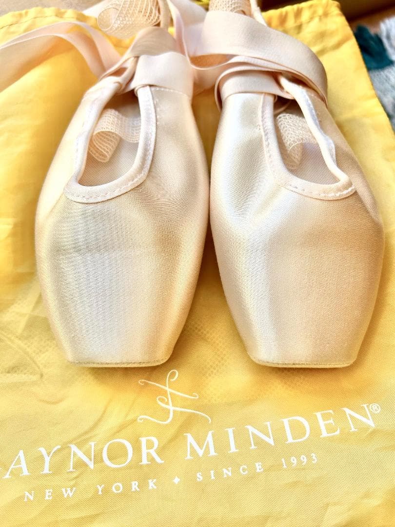 ゲイナーミンデン トウシューズ リラ 9.5 細幅