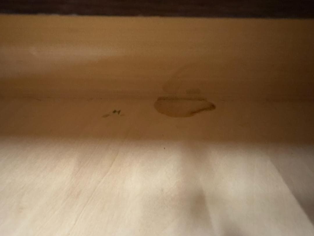 太田長 ATLANTA アトランタ ガラス扉 縦型キャビネット