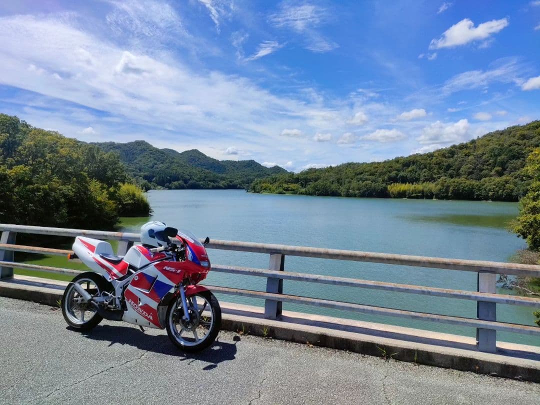 NS1 前期純正　テールカウル