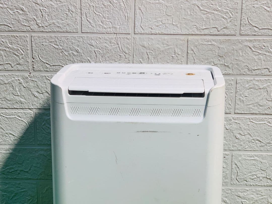 IRIS OHYAMA 衣類乾燥除湿機 ホワイトDCE-6515 2024年製