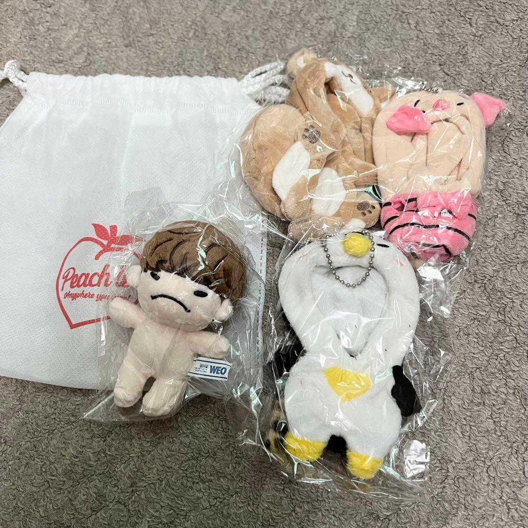 2PM JUNHO ジュノ イップニ ドール 10cm セット