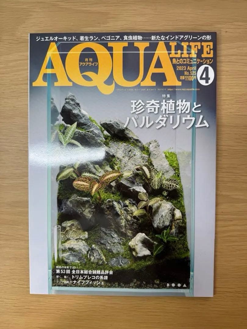 月刊アクアライフ 2023年全号 バックナンバー