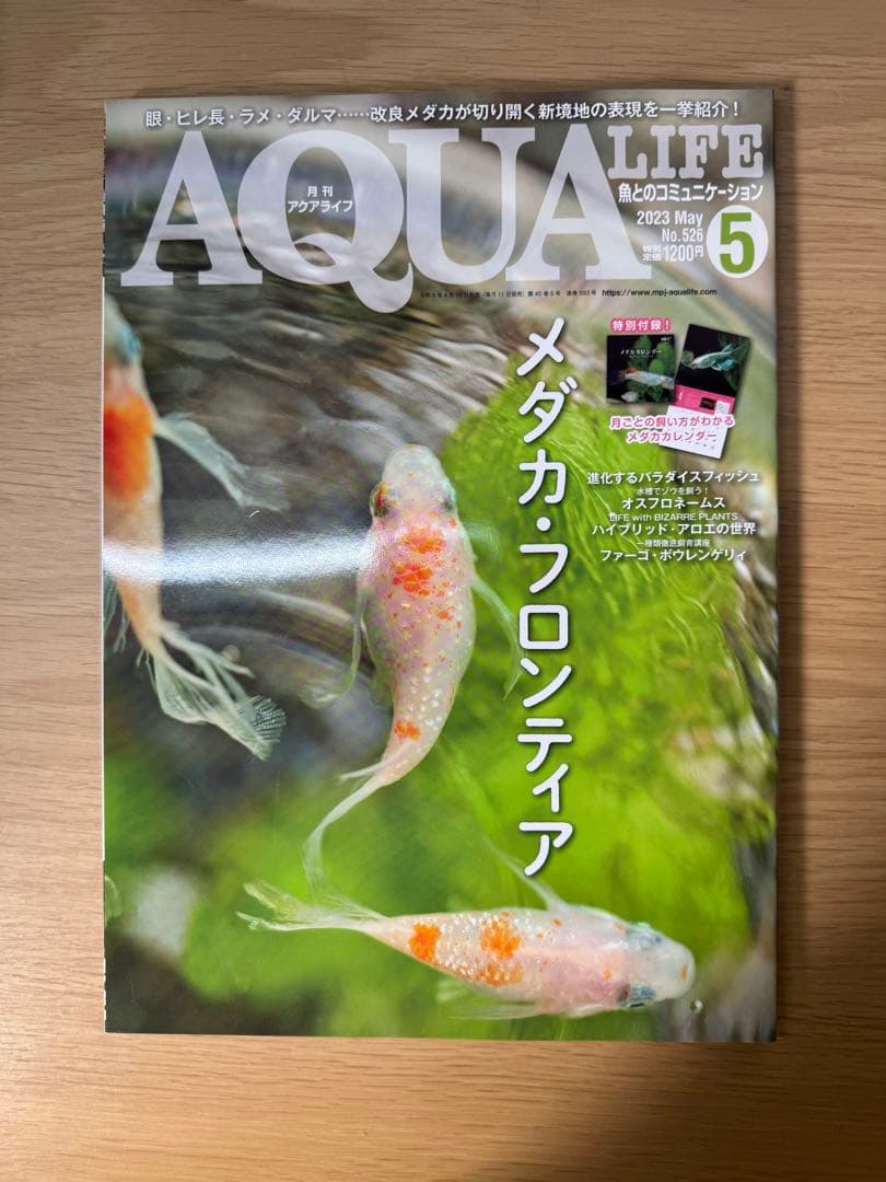 月刊アクアライフ 2023年全号 バックナンバー