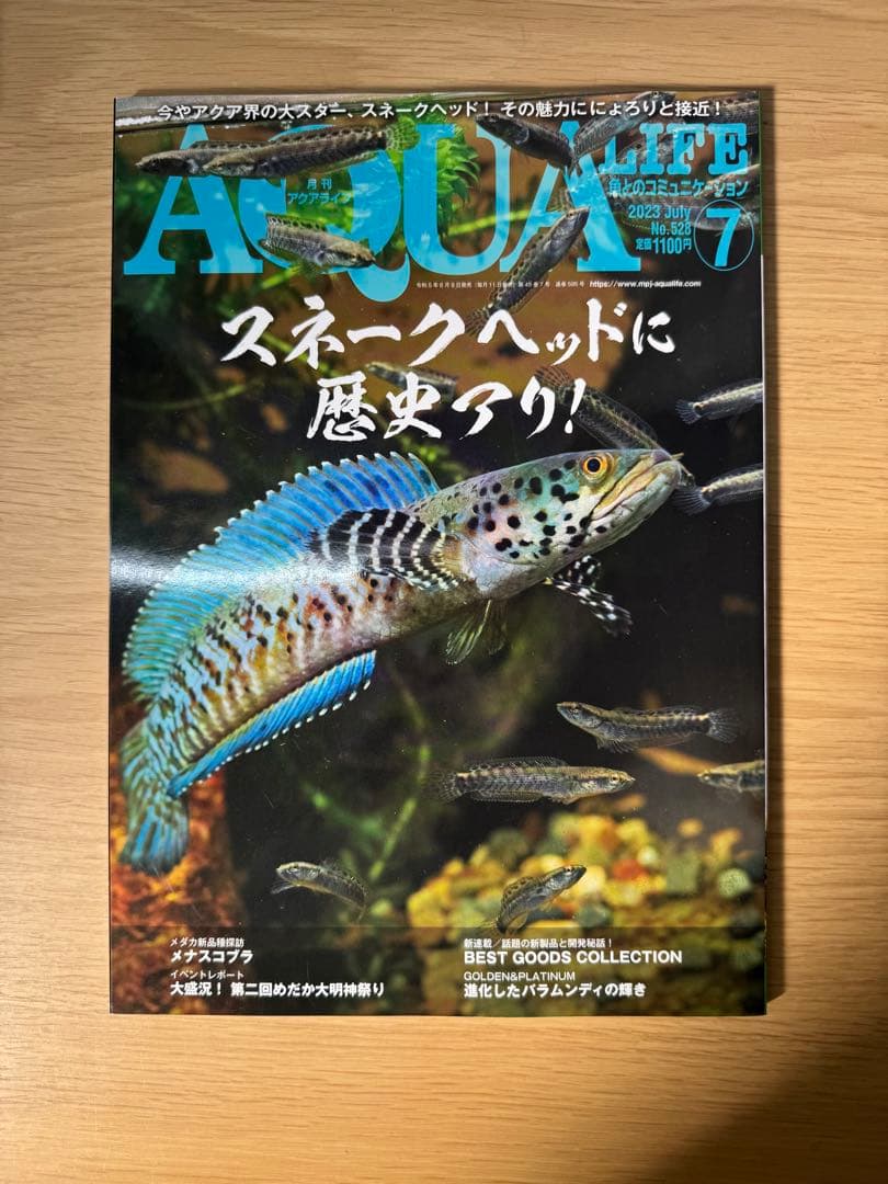 月刊アクアライフ 2023年全号 バックナンバー