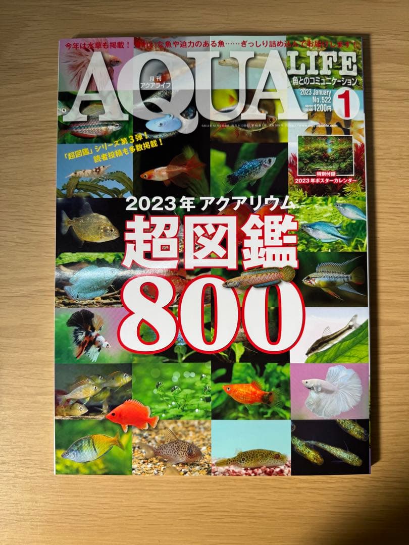 月刊アクアライフ 2023年全号 バックナンバー