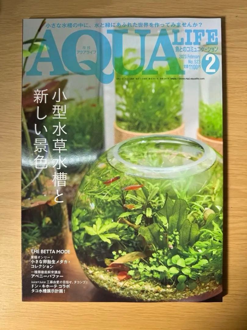 月刊アクアライフ 2023年全号 バックナンバー