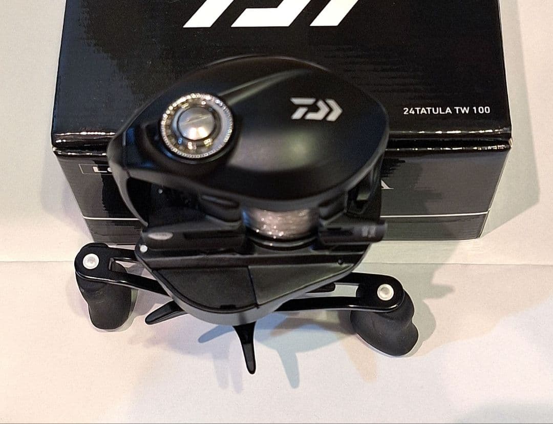ダイワ タトゥーラ TW 100 ベイトリール