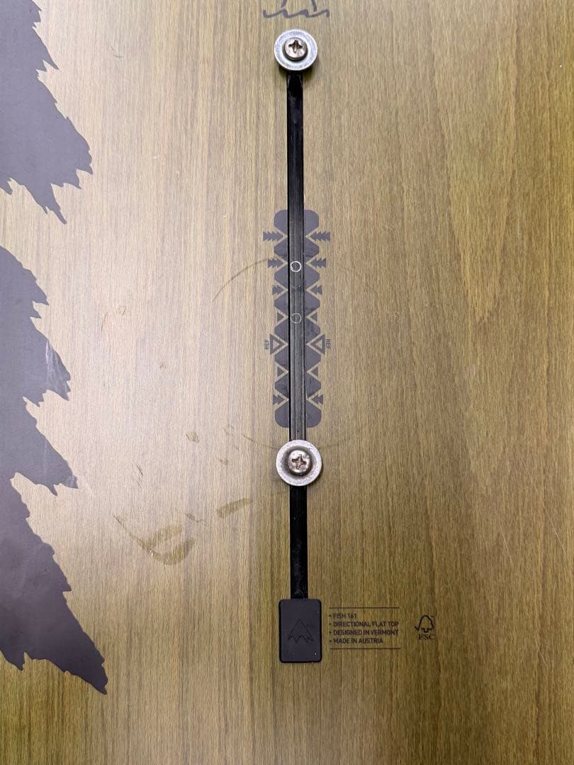 BURTON FISH バートンフィッシュ161 2018