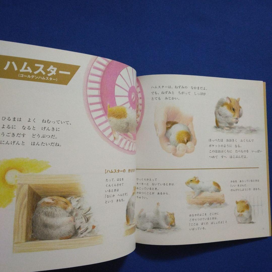 かがくのとも　ビッグサイエンス　キンダーブックしぜん　ハムスターの絵本