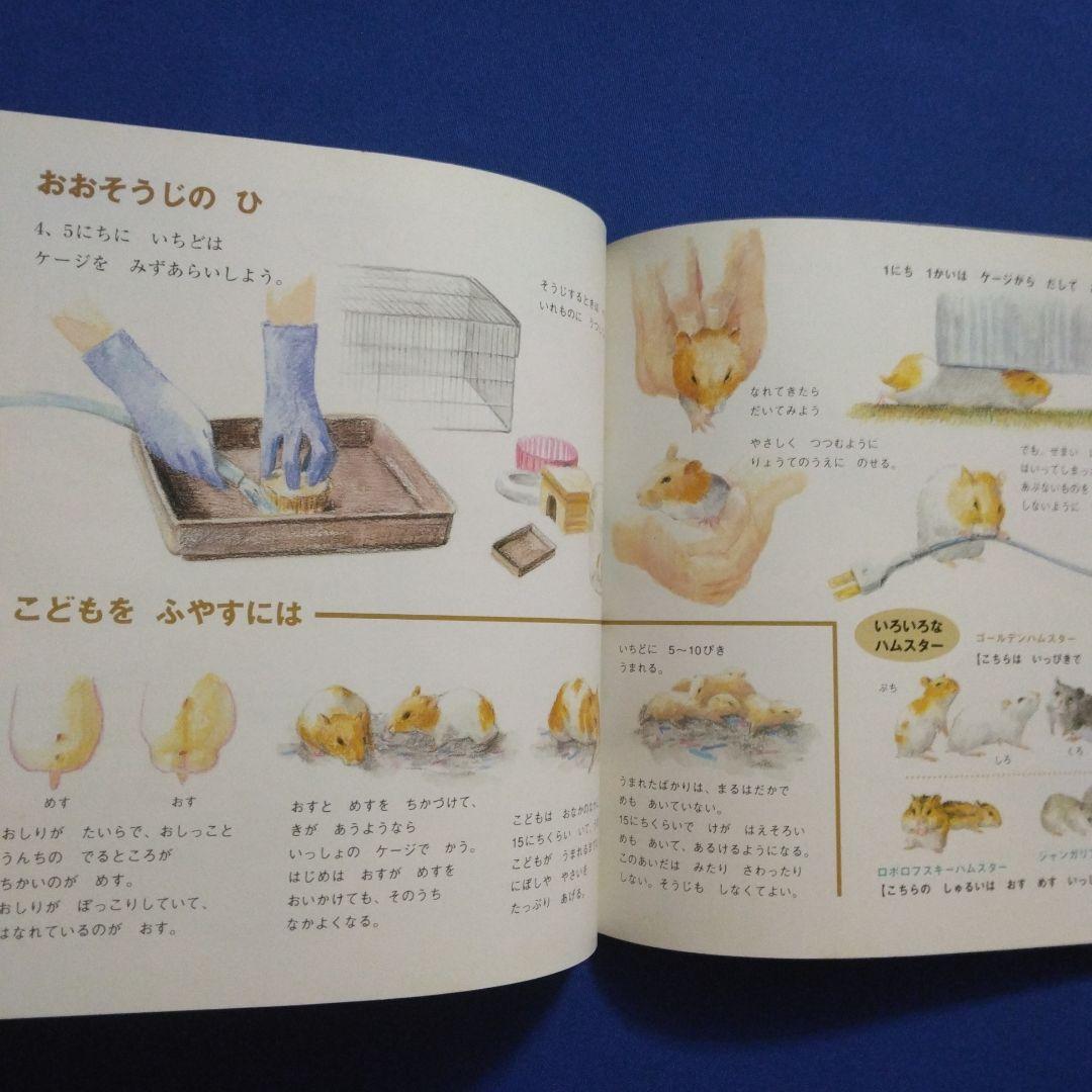 かがくのとも　ビッグサイエンス　キンダーブックしぜん　ハムスターの絵本