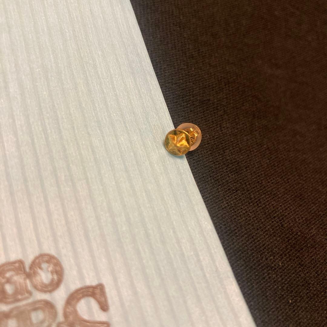 ビンゴブラザーズ　24K星ピアス