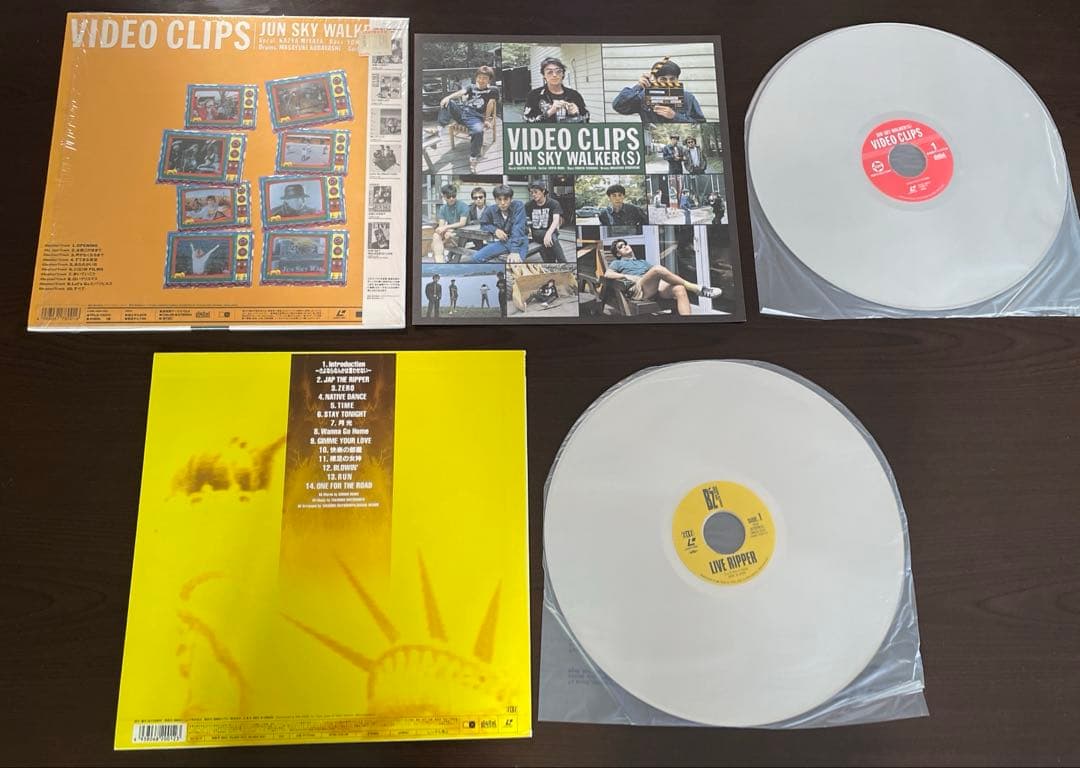 エレカシ MODS 聖飢魔II ムーン 憂歌団 尾崎 B'Z 他 LD 11枚