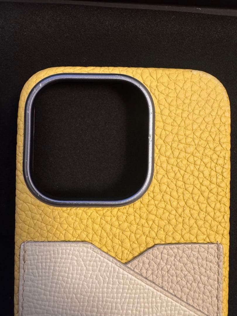 psychogunBONAVENTURA iPhone 15Pro ケース