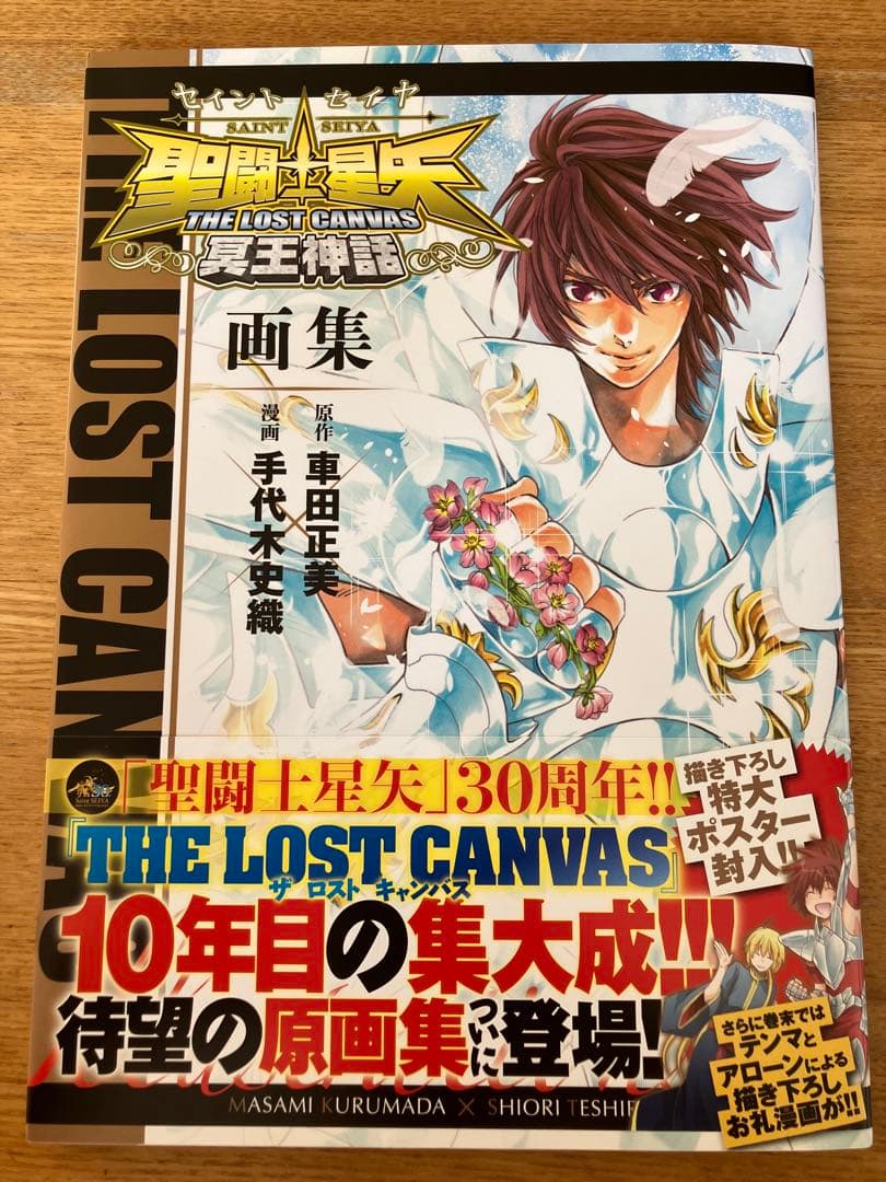 【激レア】聖闘士星矢THE LOST CANVAS冥王神話画集