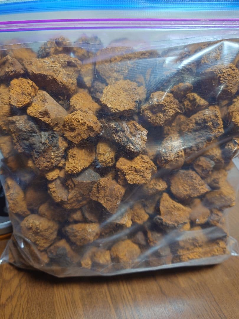 カバノアナタケ「チャーガ」5キロ‼️