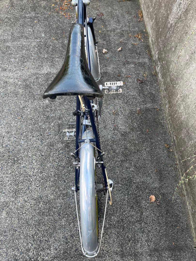 ヒカル　　　ロイヤルノートン