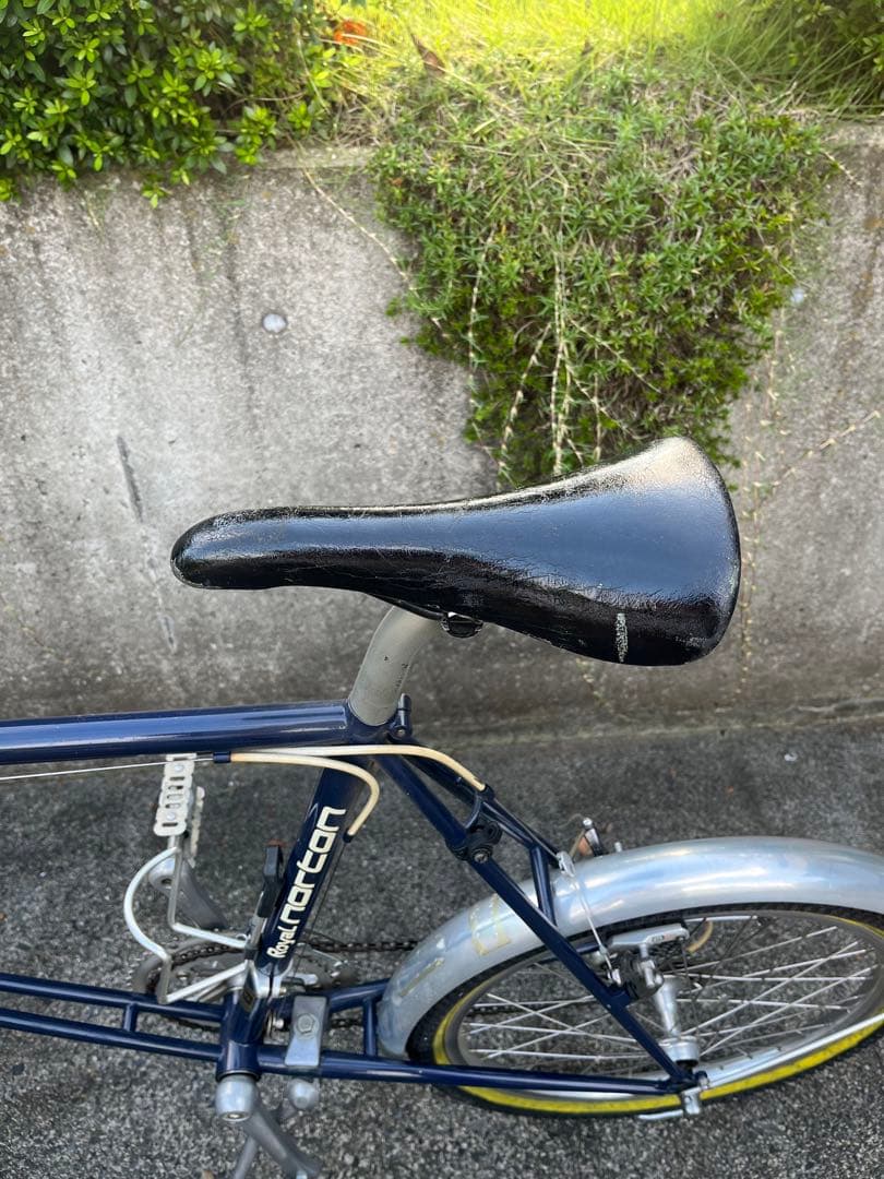 ヒカル　　　ロイヤルノートン