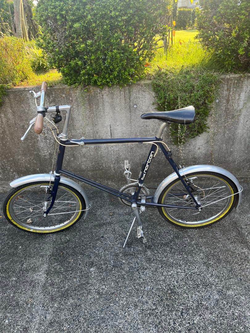 ヒカル　　　ロイヤルノートン