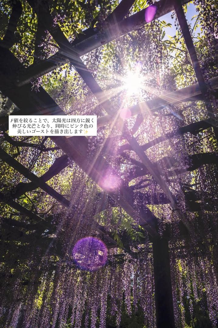 Super Takumar 55mm f1.8【M42】【最上級虹色フレア】希少