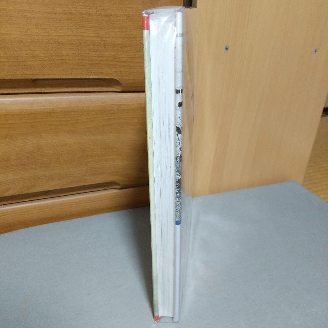 洋書 French Destroyers: Torpilleurs d'Escadre