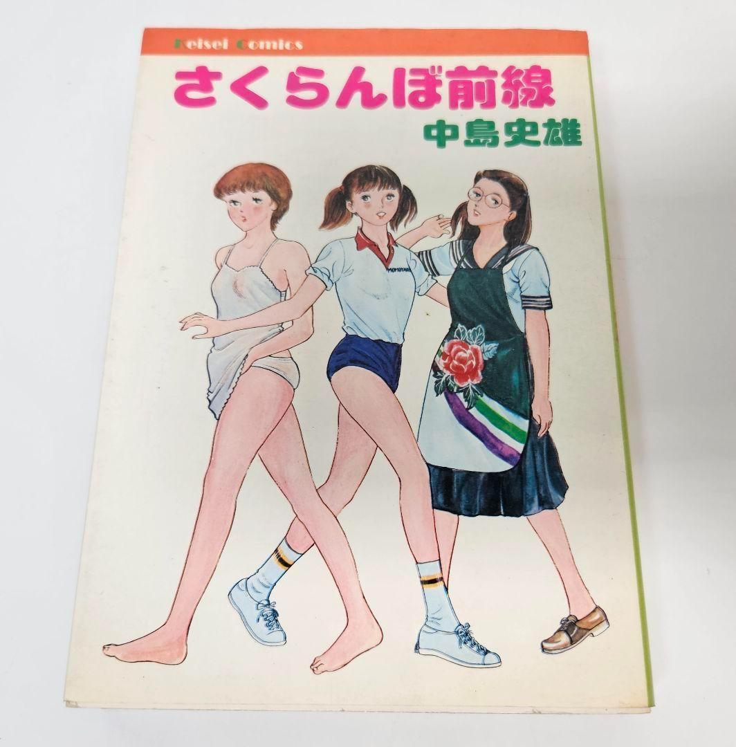 さくらんぼ前線　中島史雄　けいせい出版