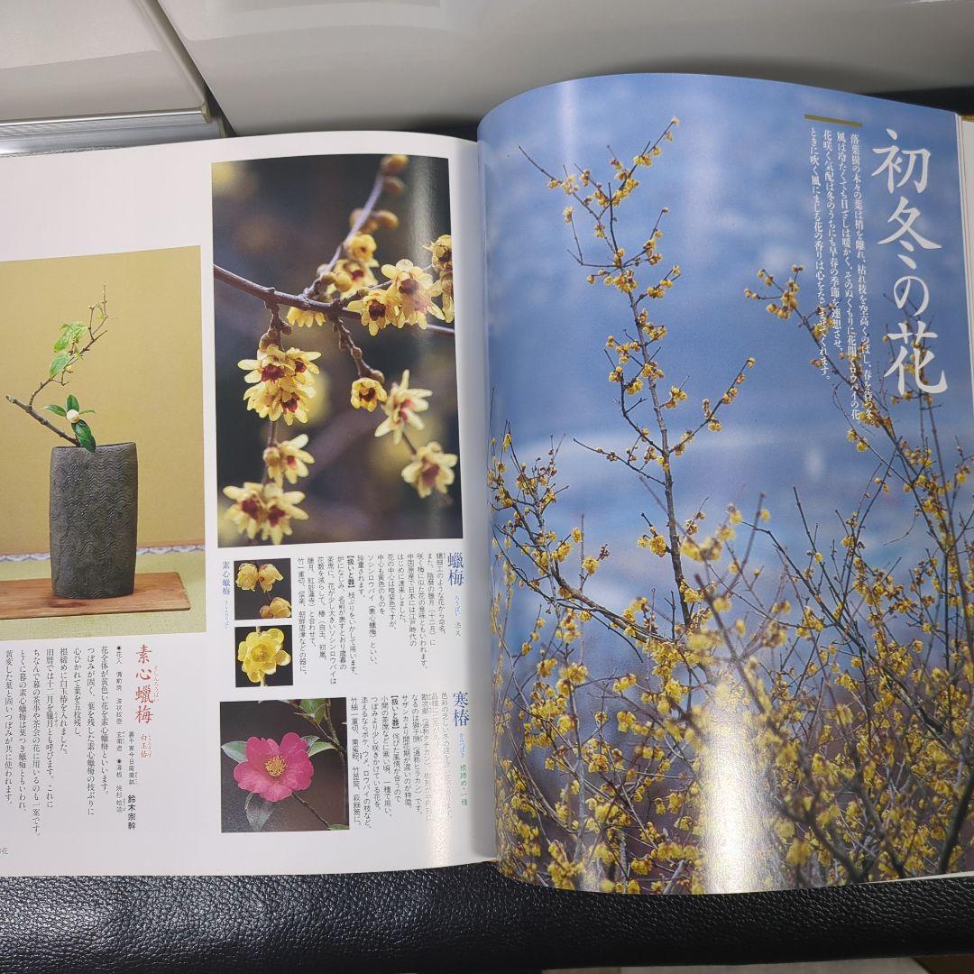 【タイムセール】茶花づくし 全巻セット