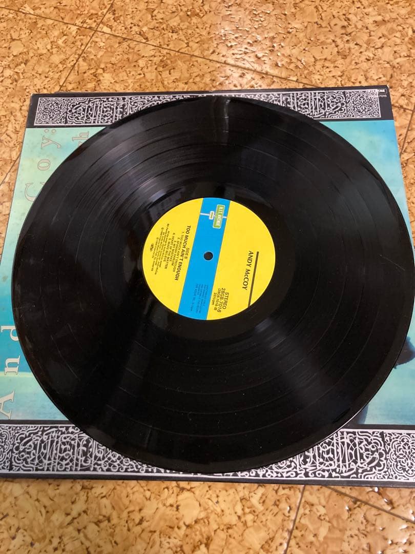 値引きAndy McCoy Too Much Ain't Enough レコード