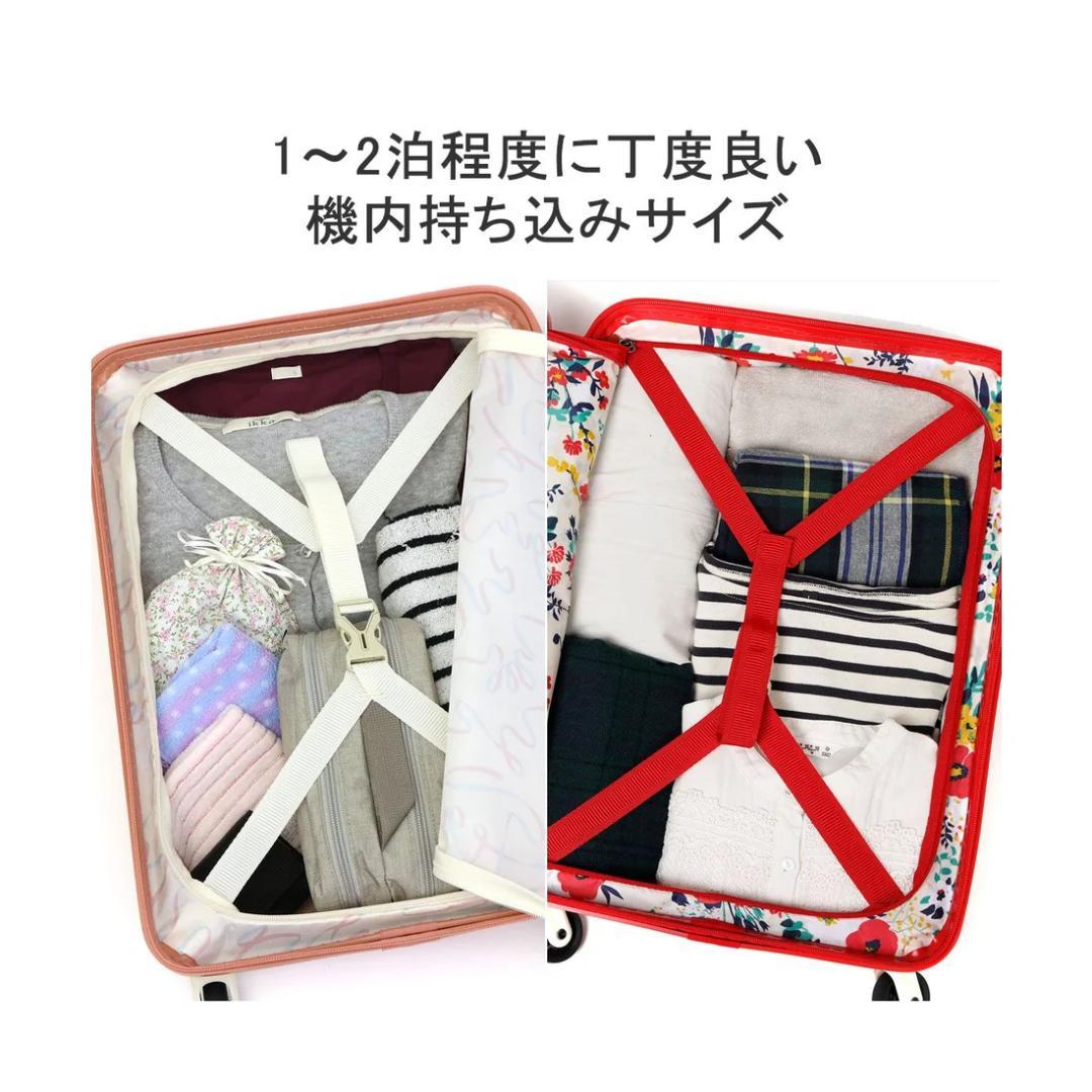 美品〈 ACE エース・HaNT〉スーツケース mine 機内持ち込み 33L