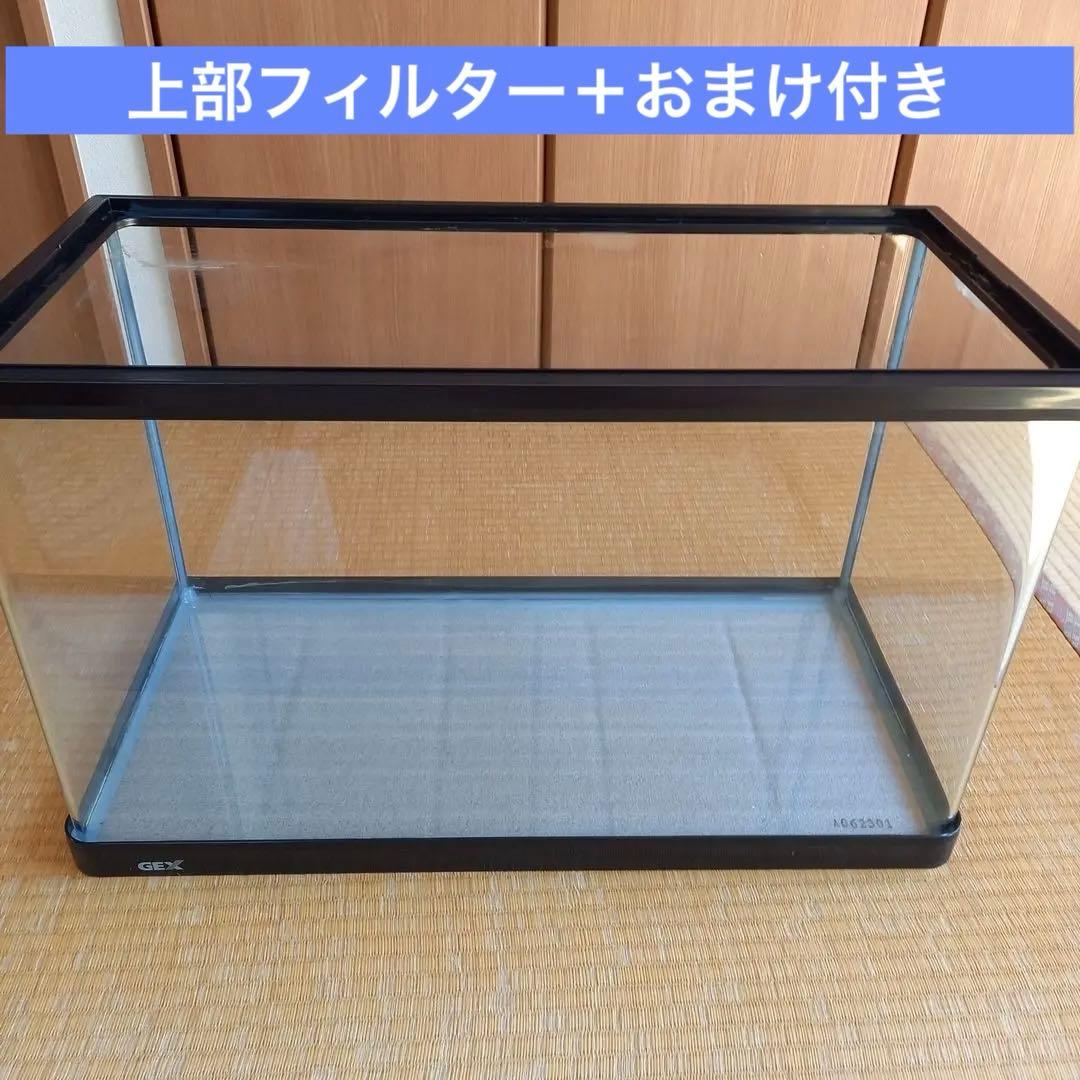 中古☆60cm水槽☆水槽☆上部フィルター☆新品おまけ付き