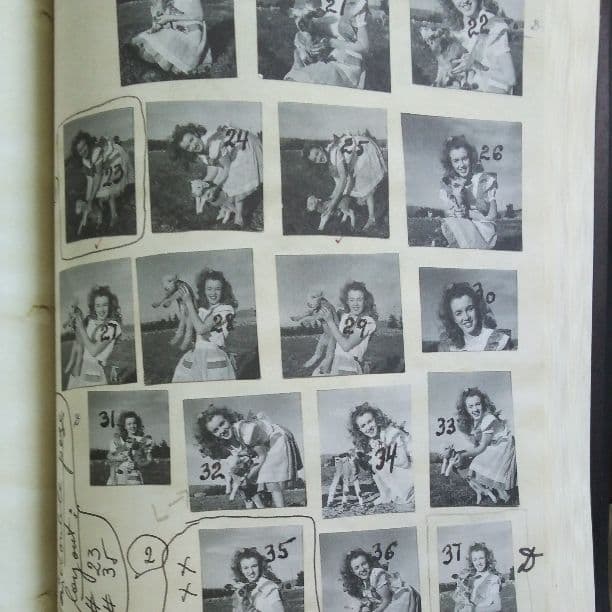 マリリン・モンロー写真集