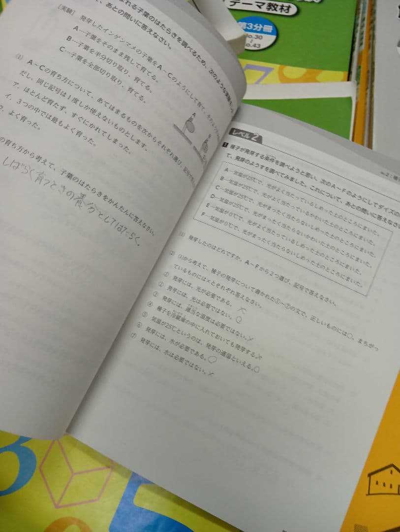 浜学園　小５　国語/算数/理科/春/夏/冬　テキスト　2024年使用版　 中古