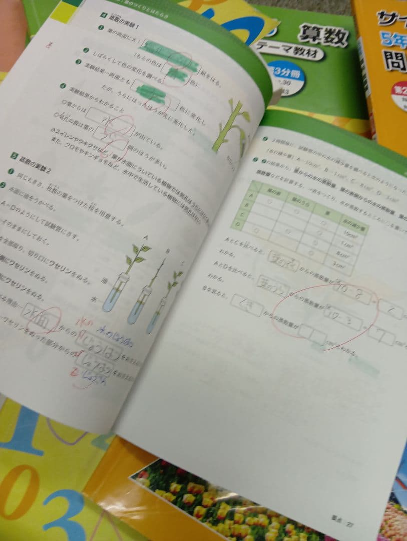 浜学園　小５　国語/算数/理科/春/夏/冬　テキスト　2024年使用版　 中古