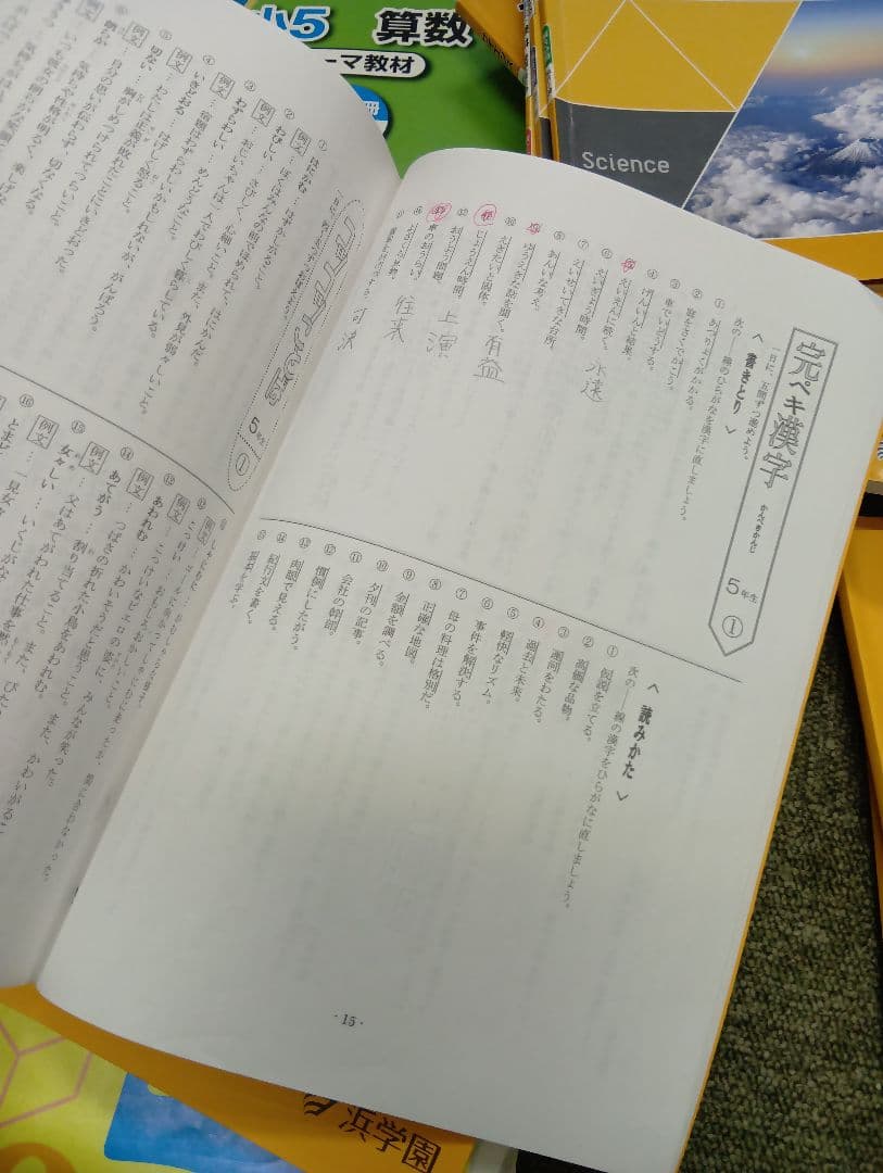 浜学園　小５　国語/算数/理科/春/夏/冬　テキスト　2024年使用版　 中古