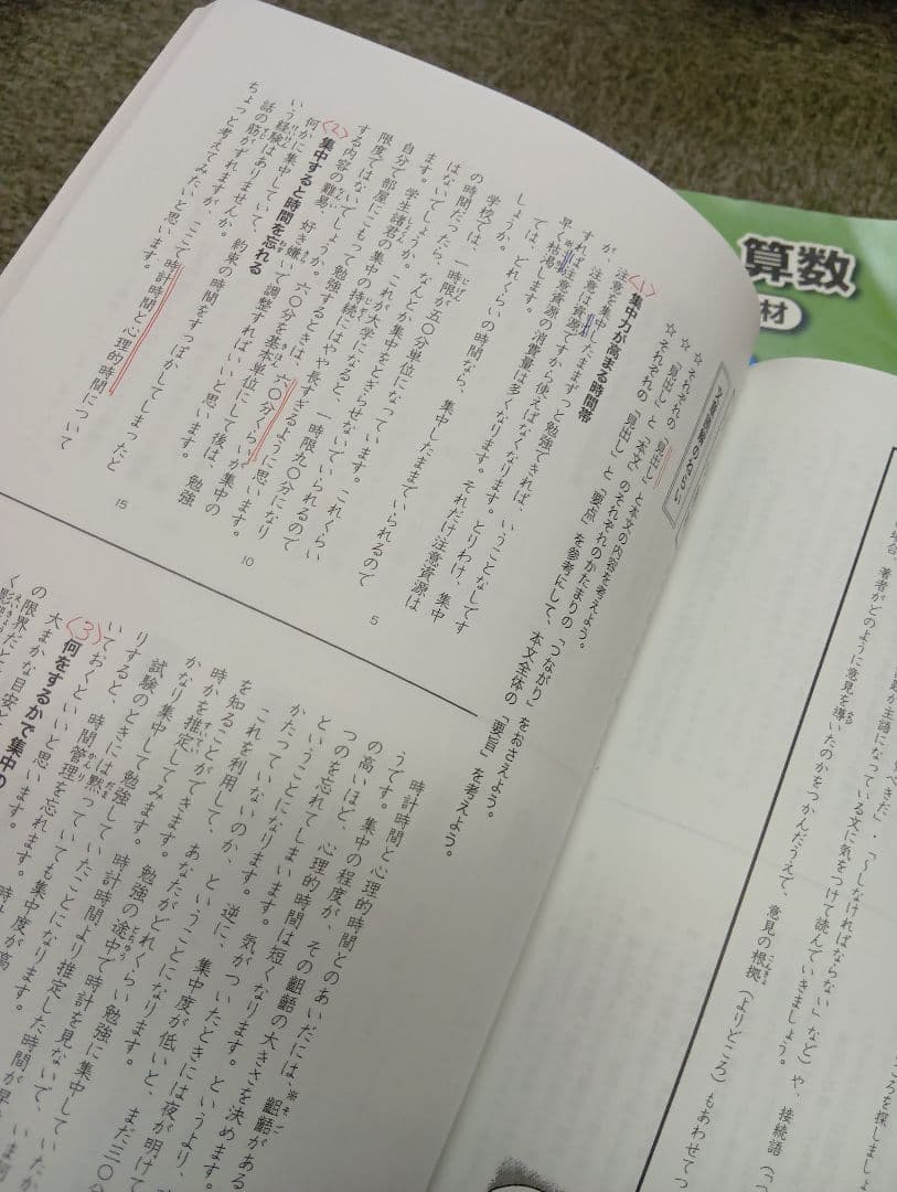 浜学園　小５　国語/算数/理科/春/夏/冬　テキスト　2024年使用版　 中古