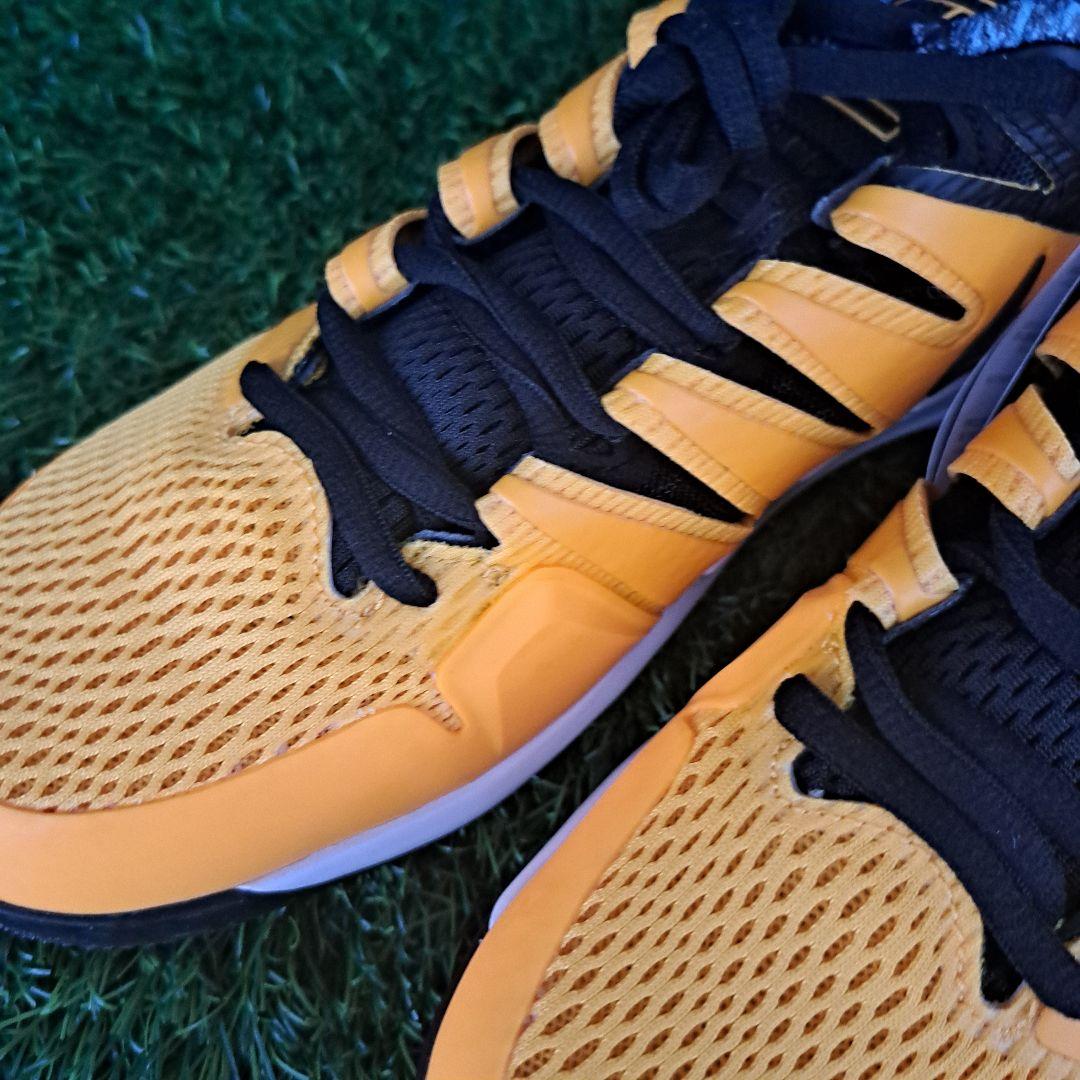 ロシャーフェデラー着用　ナイキ エアズームヴェイパーX HC 25.5cm