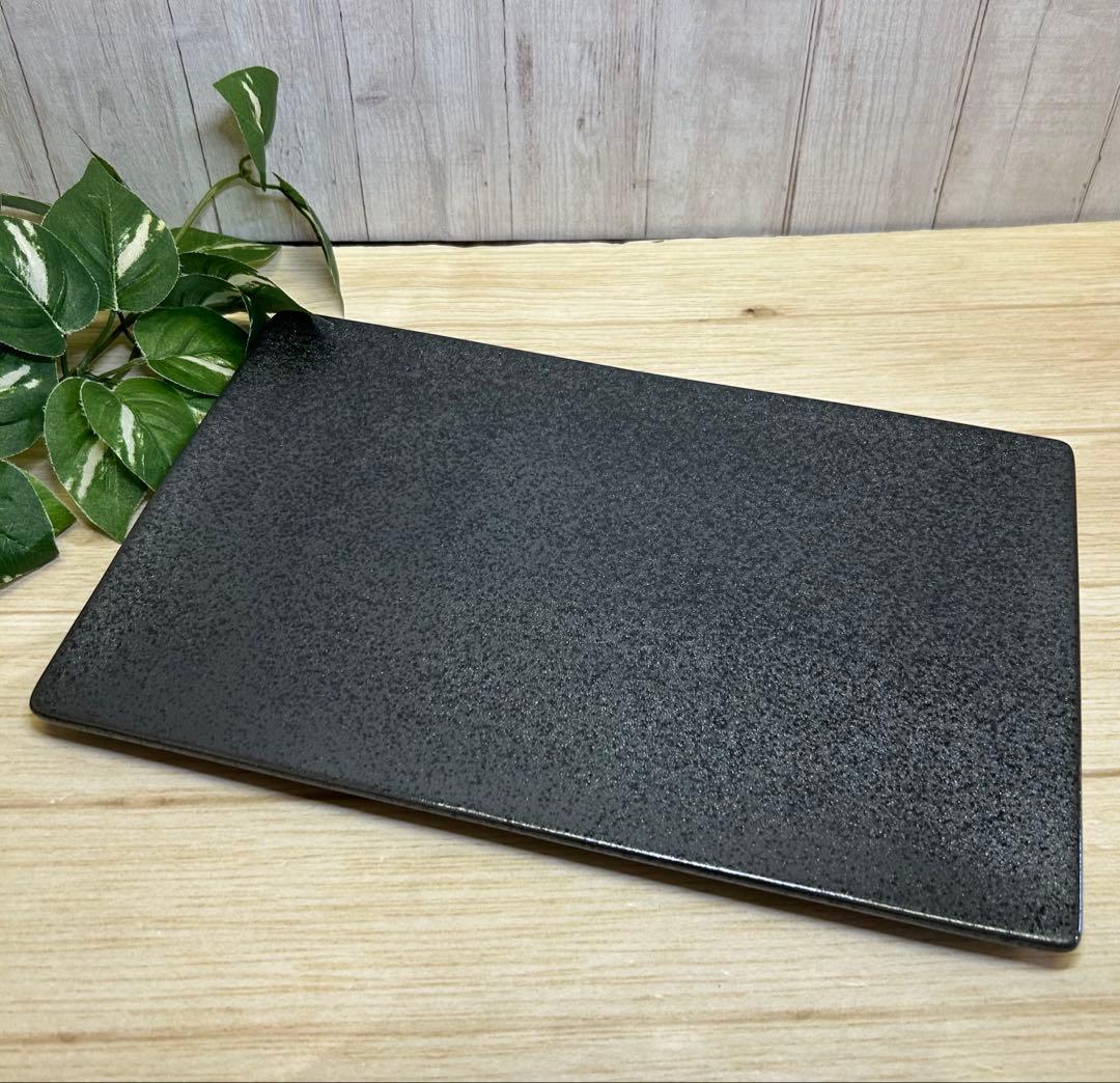 銀鱗29cm長角皿(4枚)