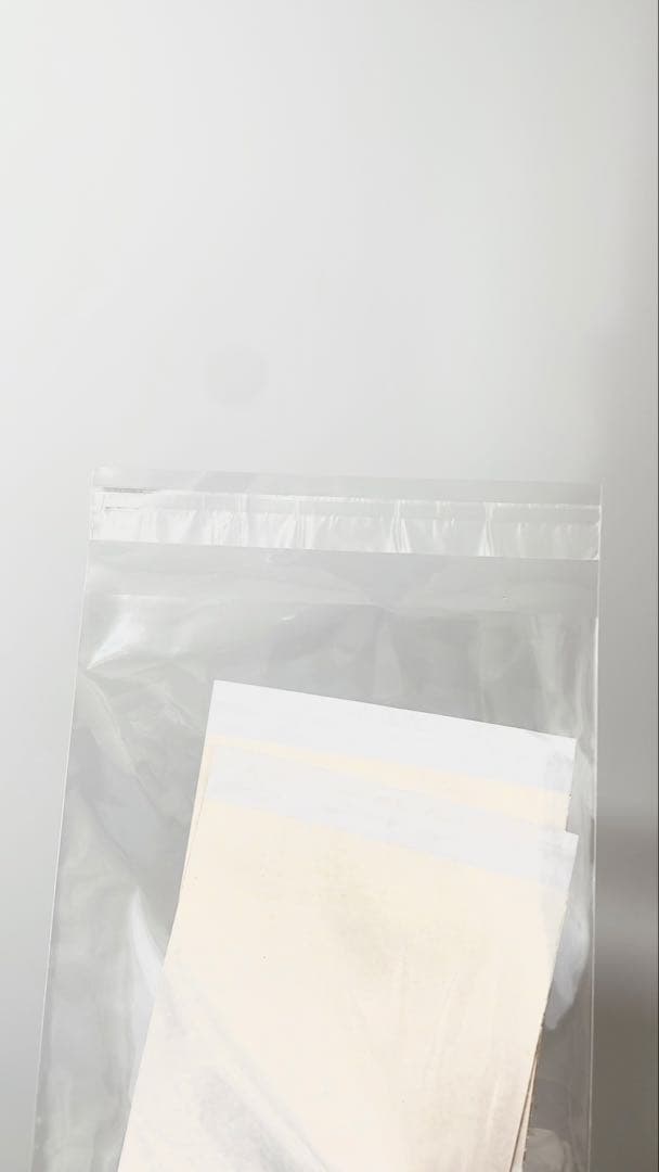 torioland髪飾り 新品 金箔シート2枚付