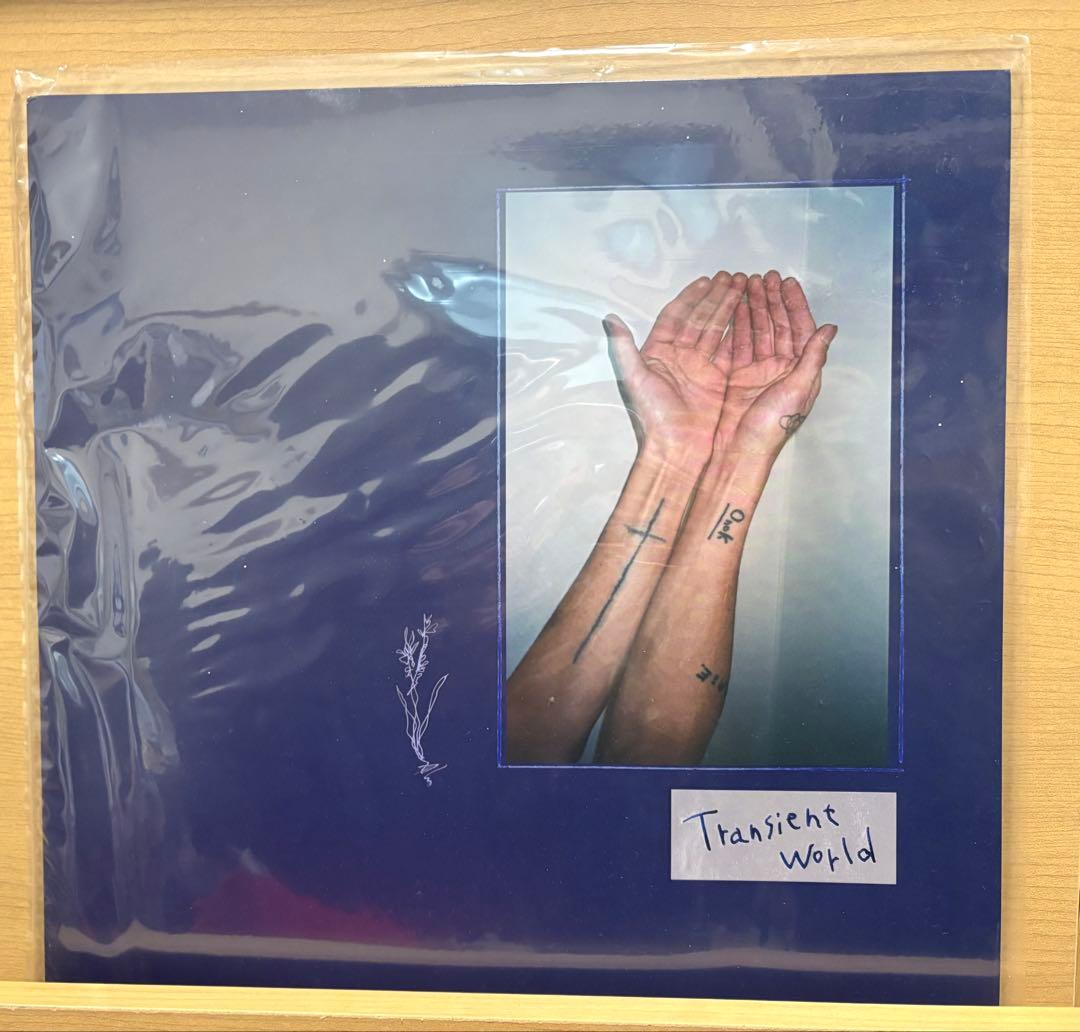 下津光史 / Transient World LP