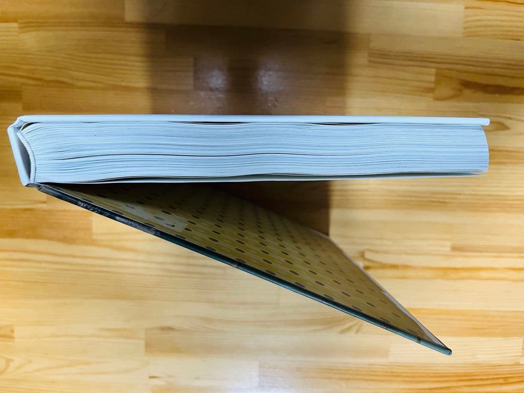 絶版　希少　ティムウォーカー写真集Tim Walker Pictures