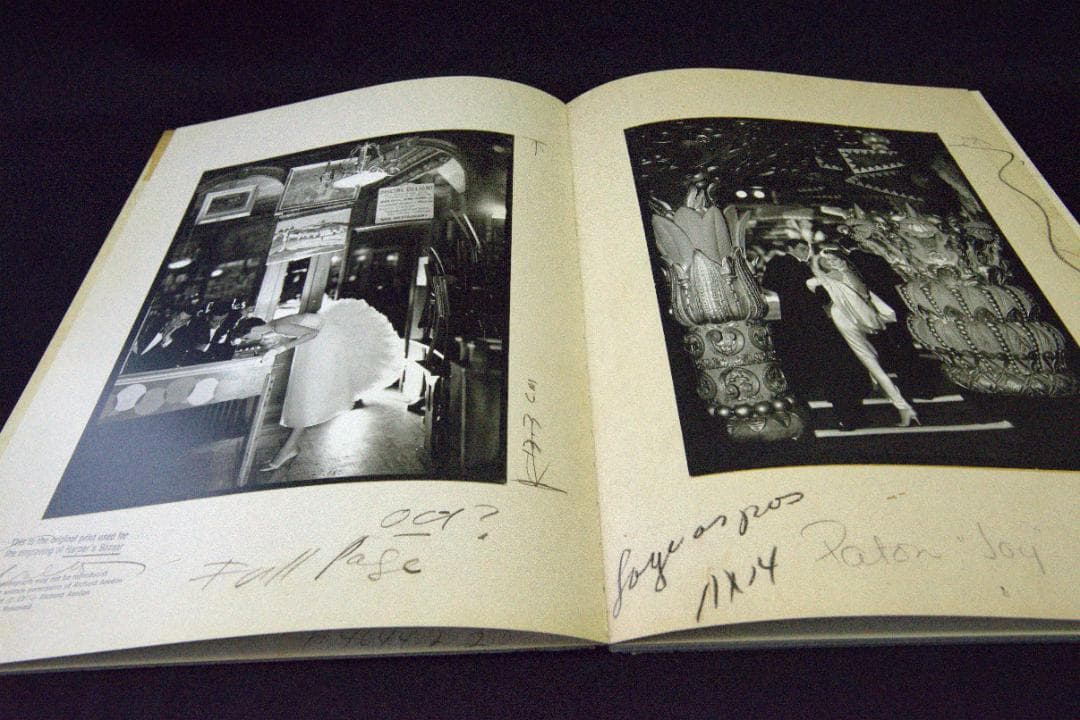 【Made in France】リチャード・アヴェドン　★★大幅に値下げしました