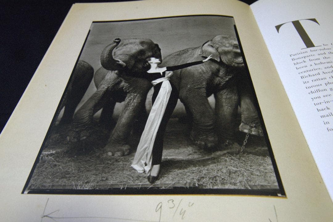 【Made in France】リチャード・アヴェドン　★★大幅に値下げしました