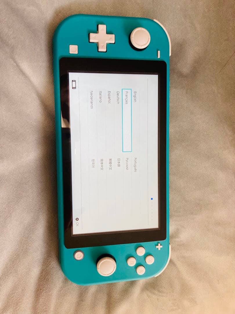 switch lite ターコイズ　カバー付き